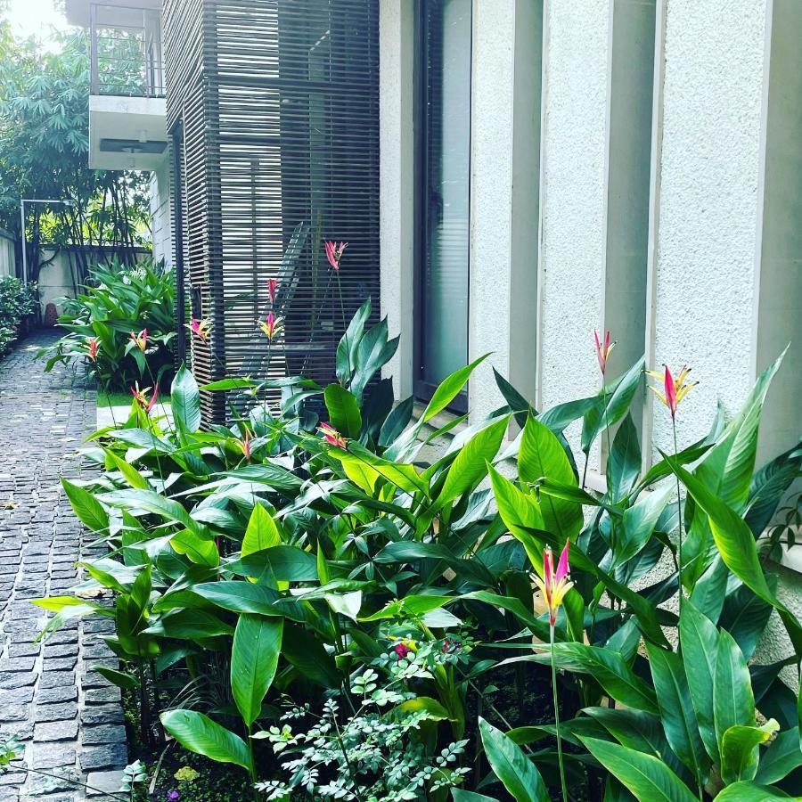 Ochre Villa- Luxury Property In Assagaon / 瓦加托 外观 照片